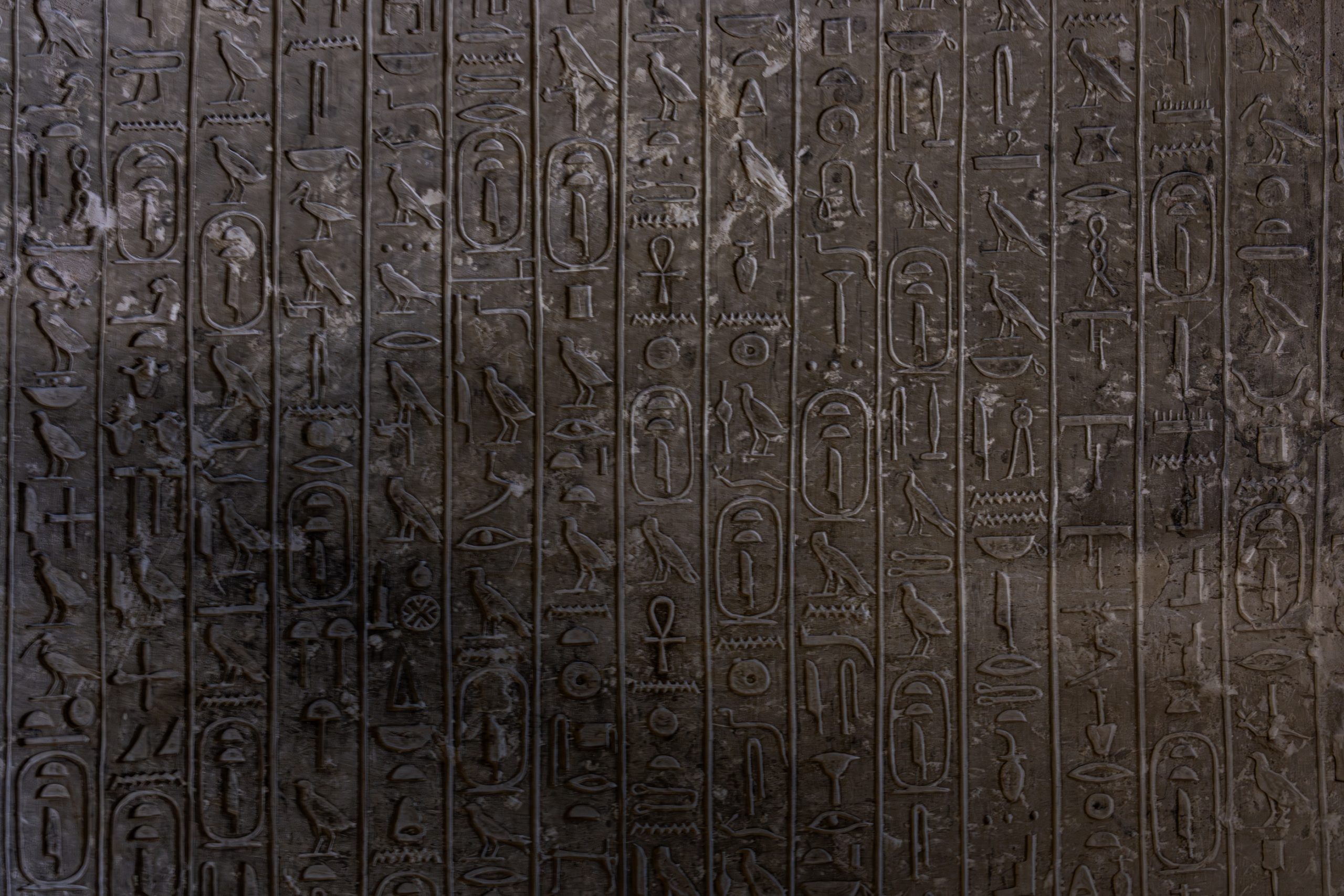 Mur de Hiéroglyphes Égyptiens