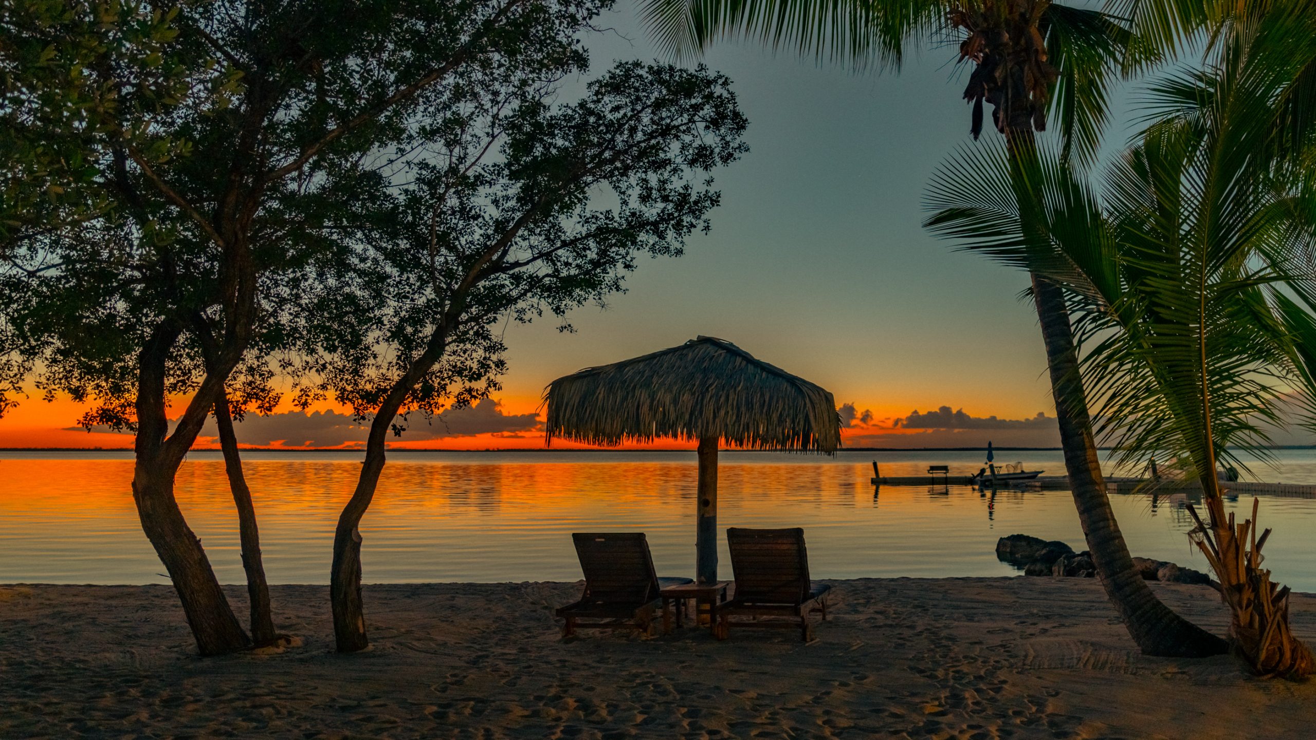 Palapa sur plage tropicale