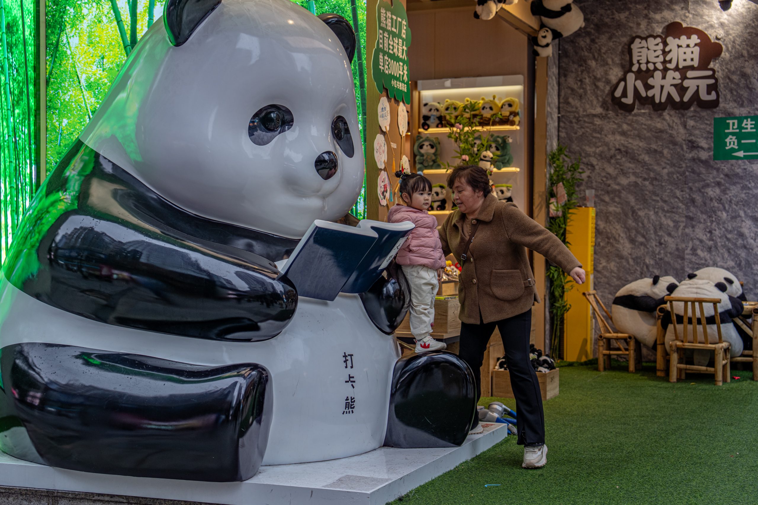 Panda Géant Lisant un Livre