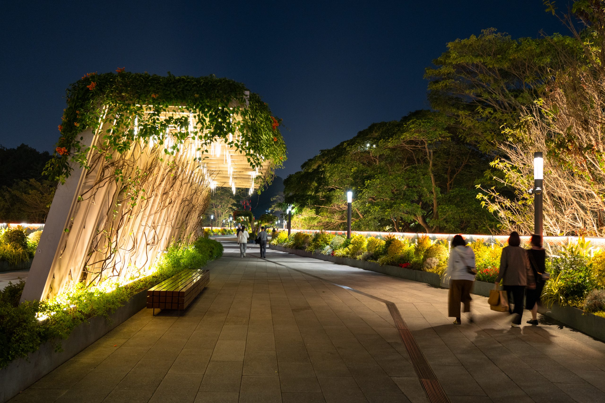 Passerelle Végétale Éclairée