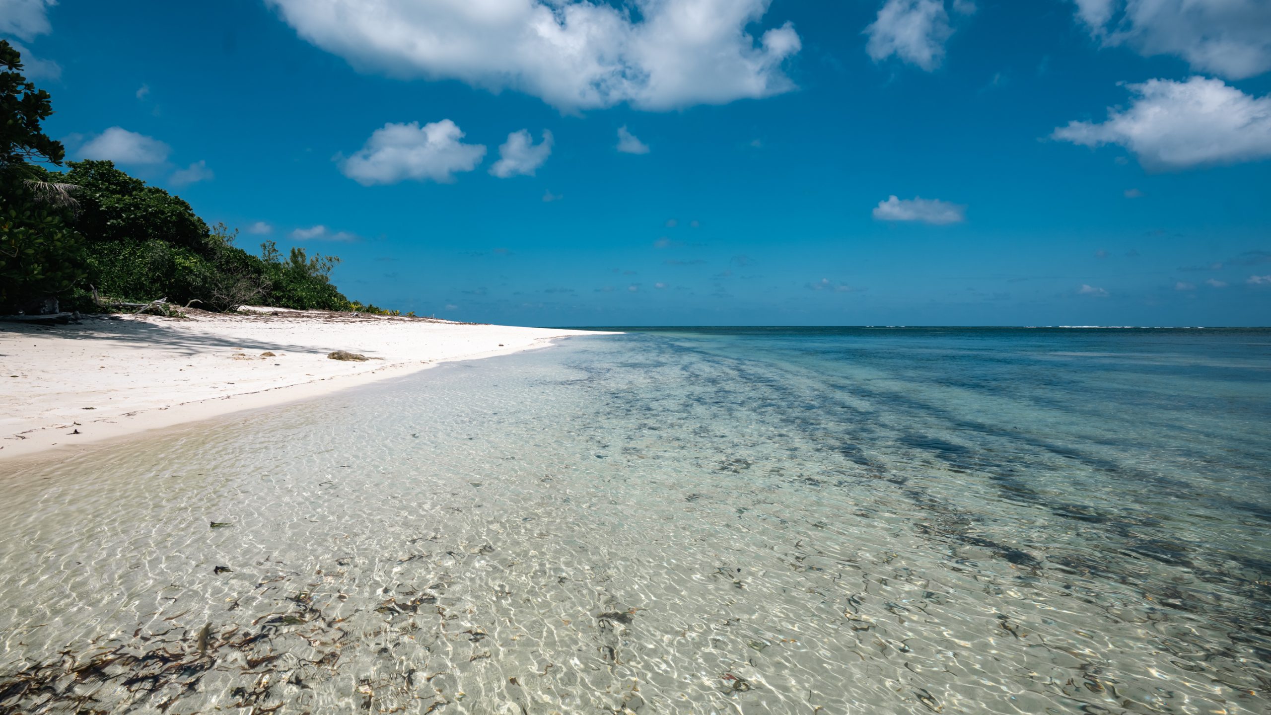 Plage tropicale aux eaux cristallines