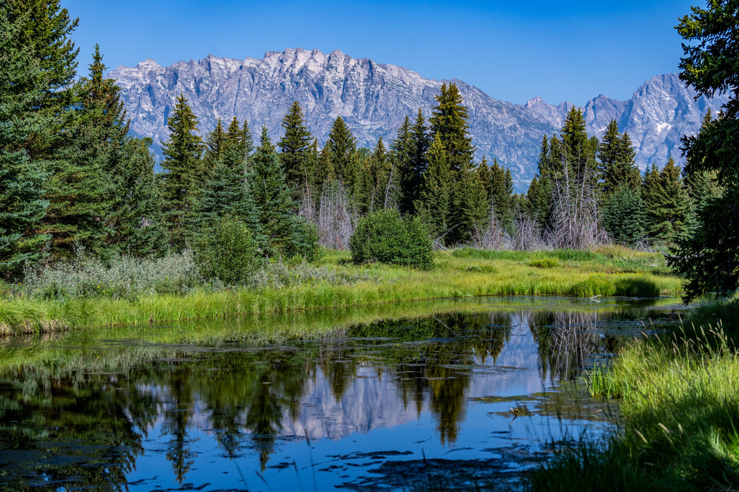 Reflet de la chaîne des Tétons