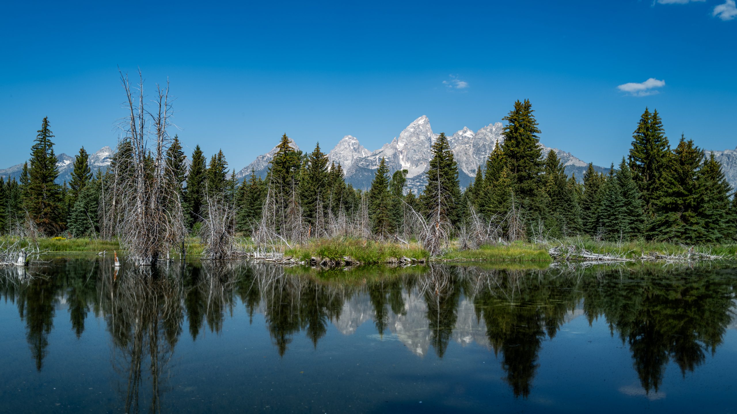 Reflets du Grand Teton
