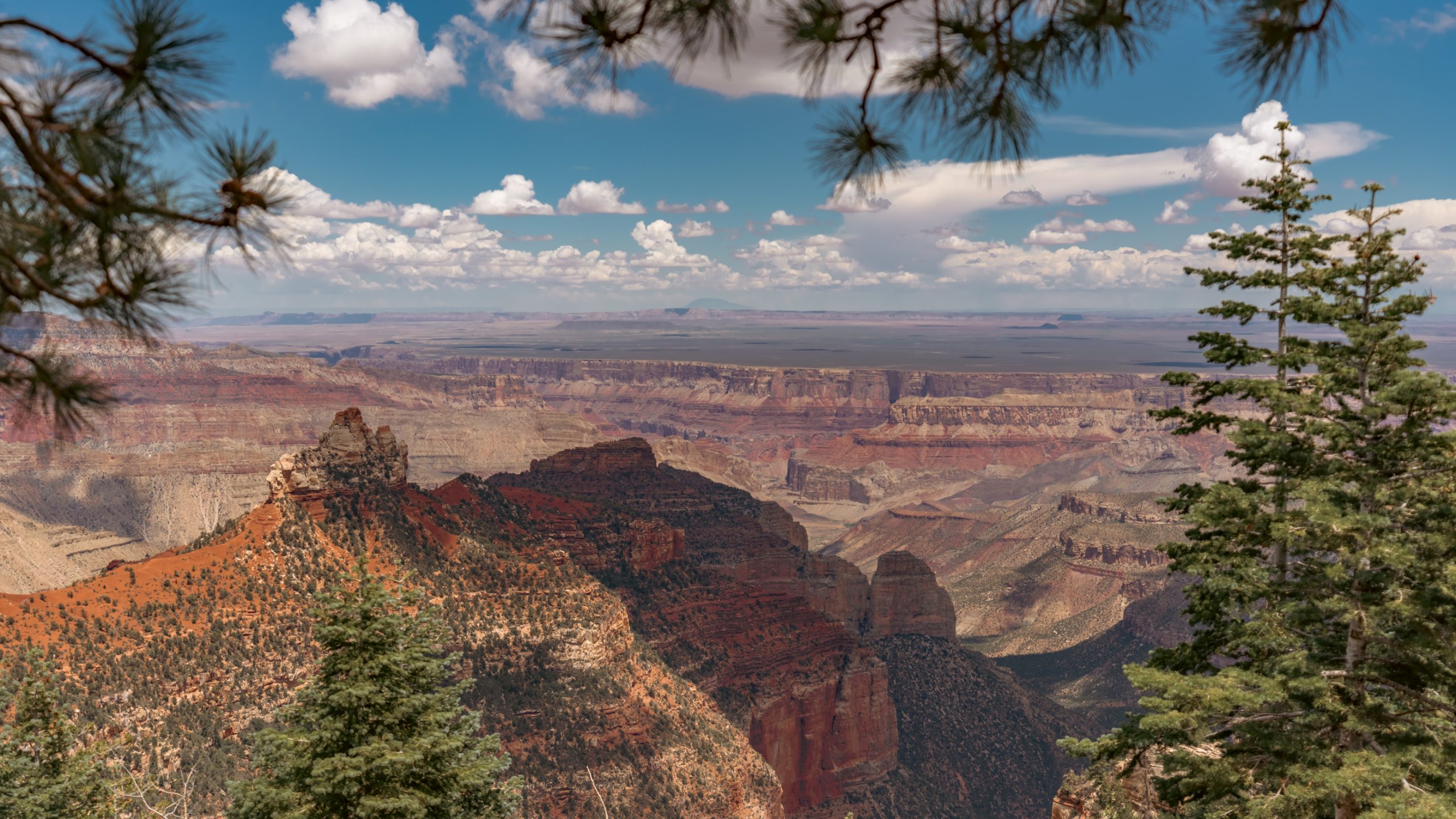 Rive Nord du Grand Canyon
