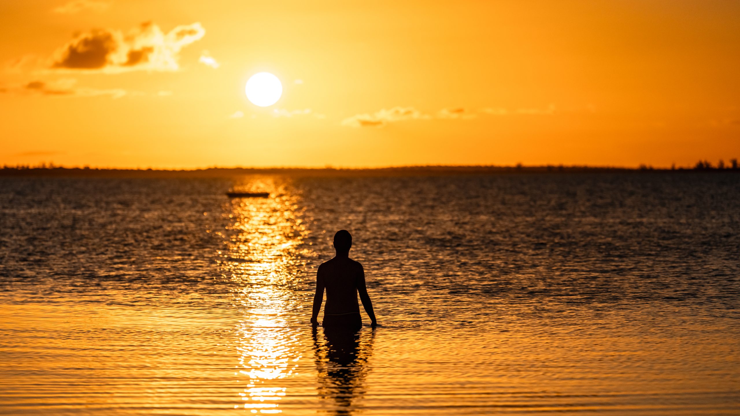 Silhouette dans la mer dorée