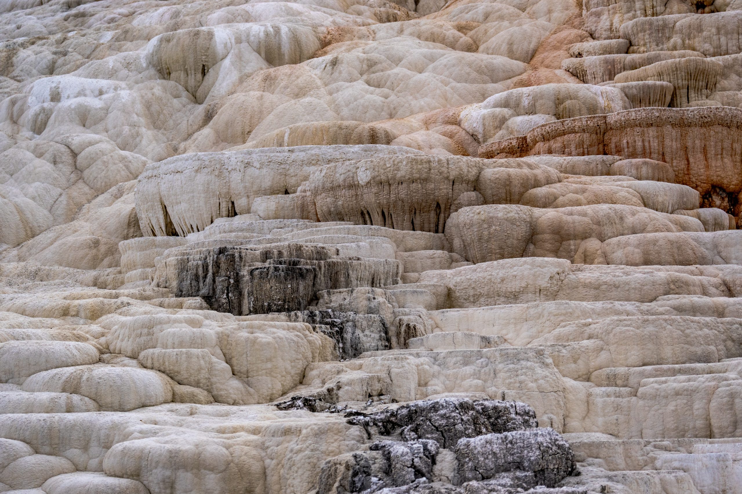 Terrasses de travertin Mammoth Hot Springs