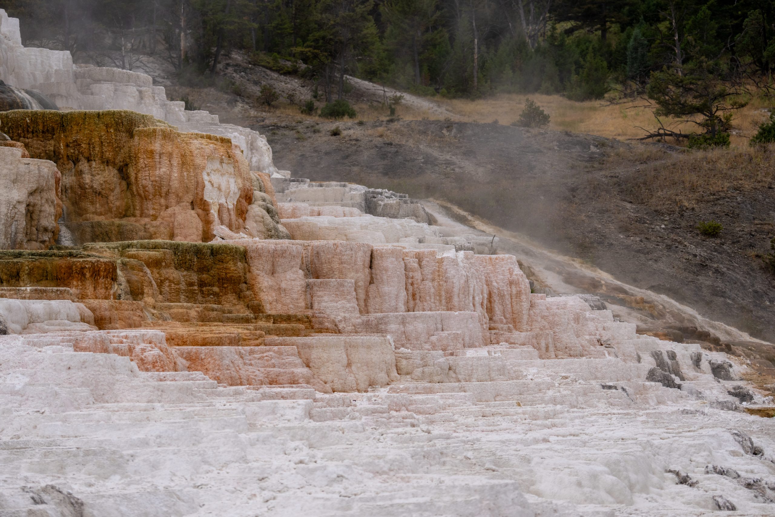 Terrasses travertines de Mammoth