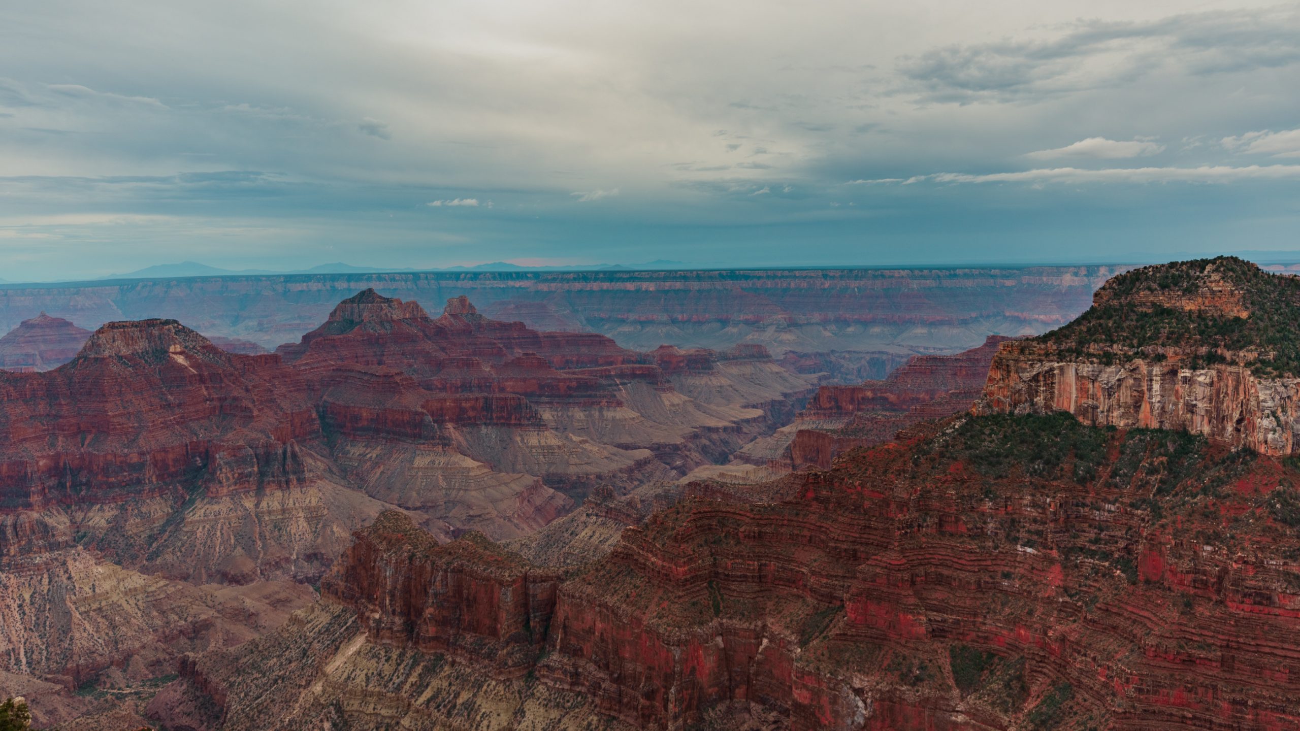 Vue panoramique du Grand Canyon