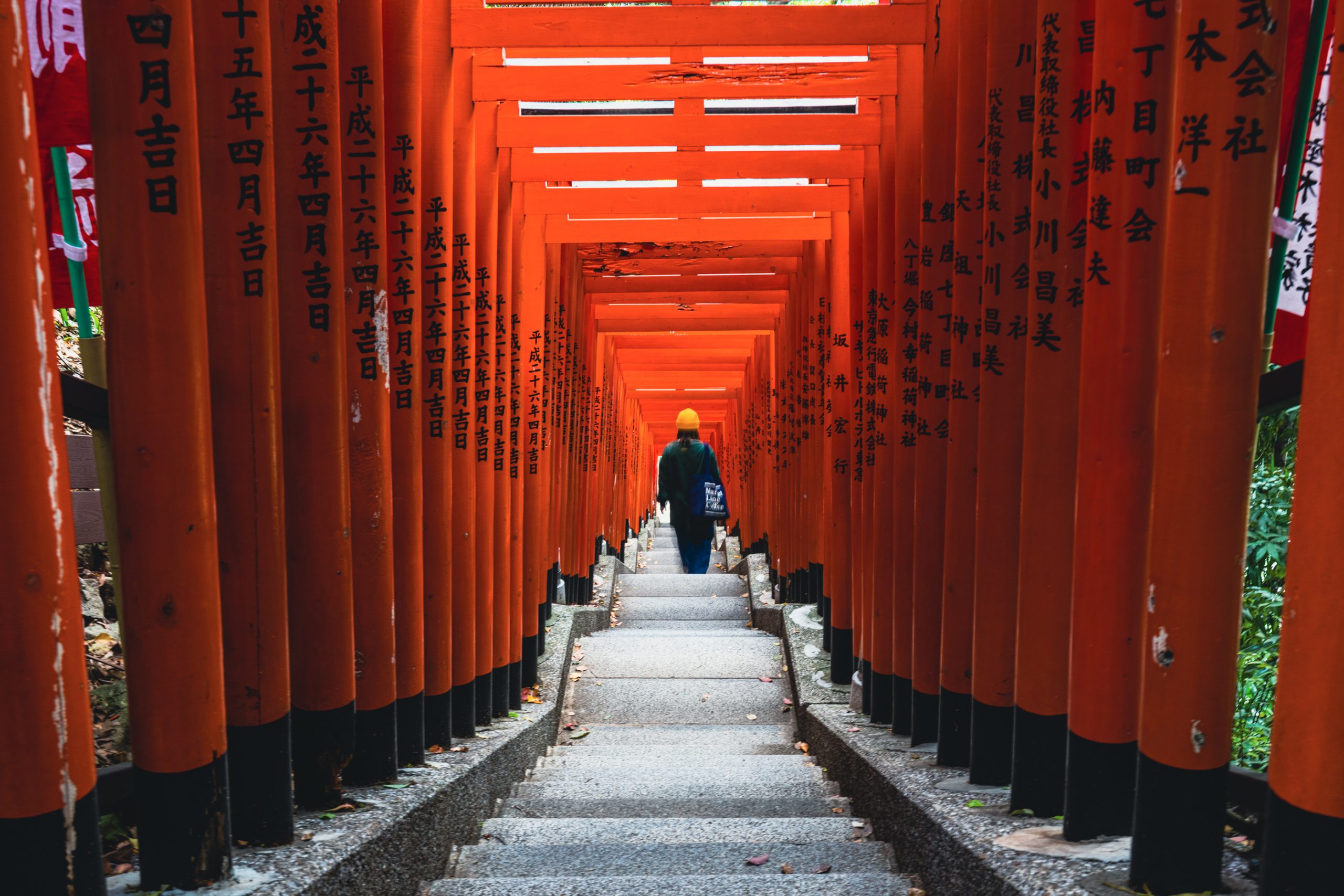 Allée de torii à Fushimi Inari