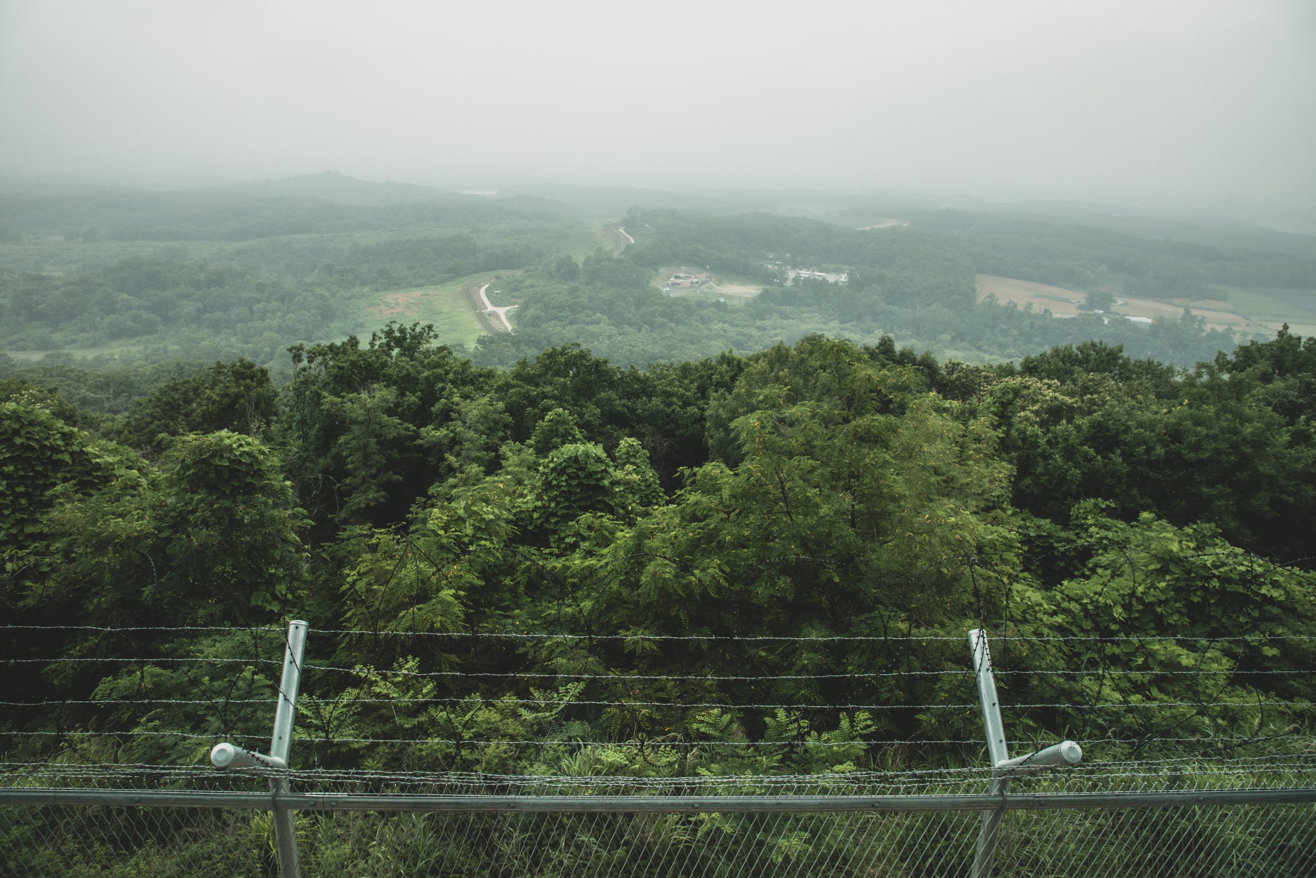 Barbelés de la DMZ coréenne