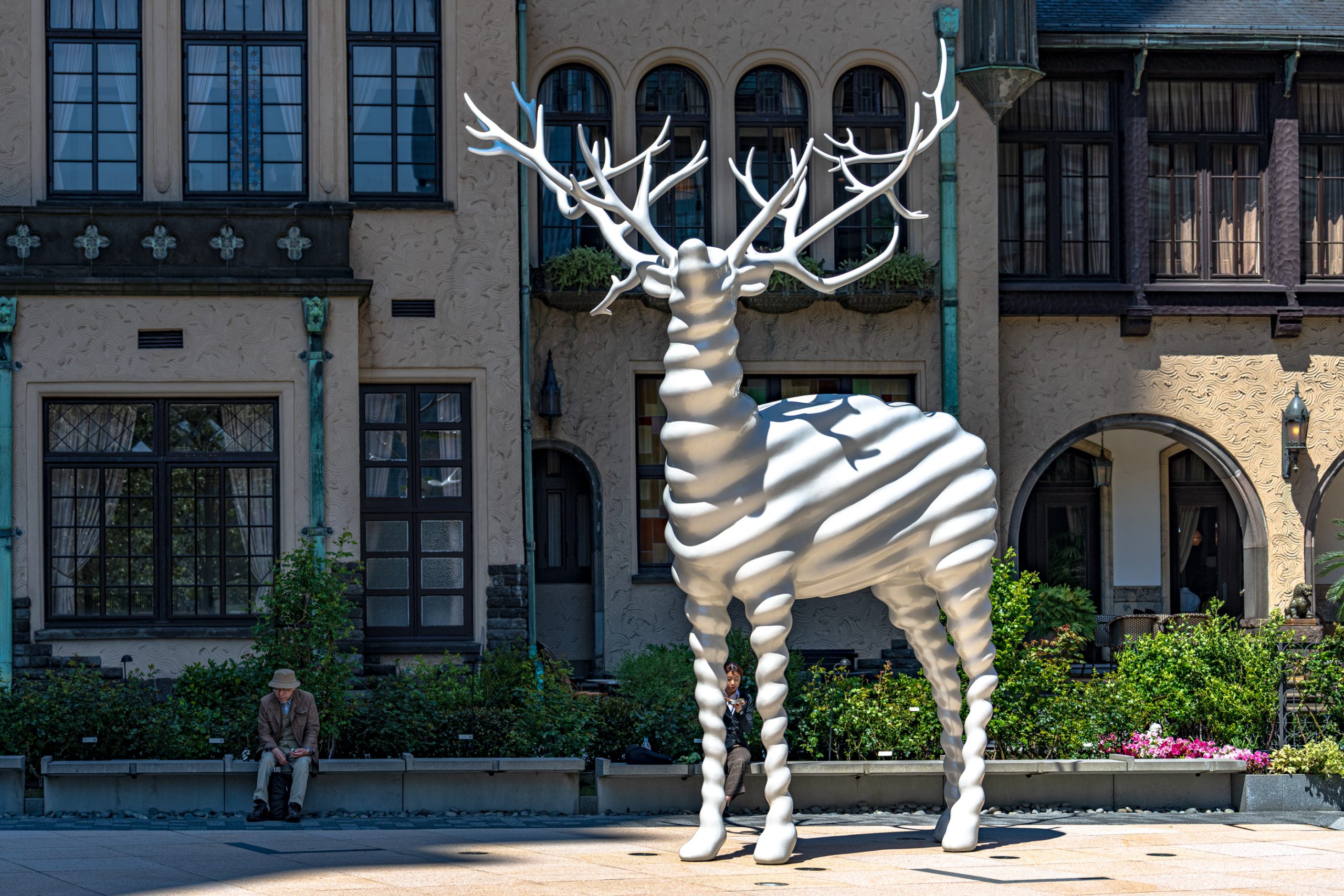 Cerf blanc en spirale