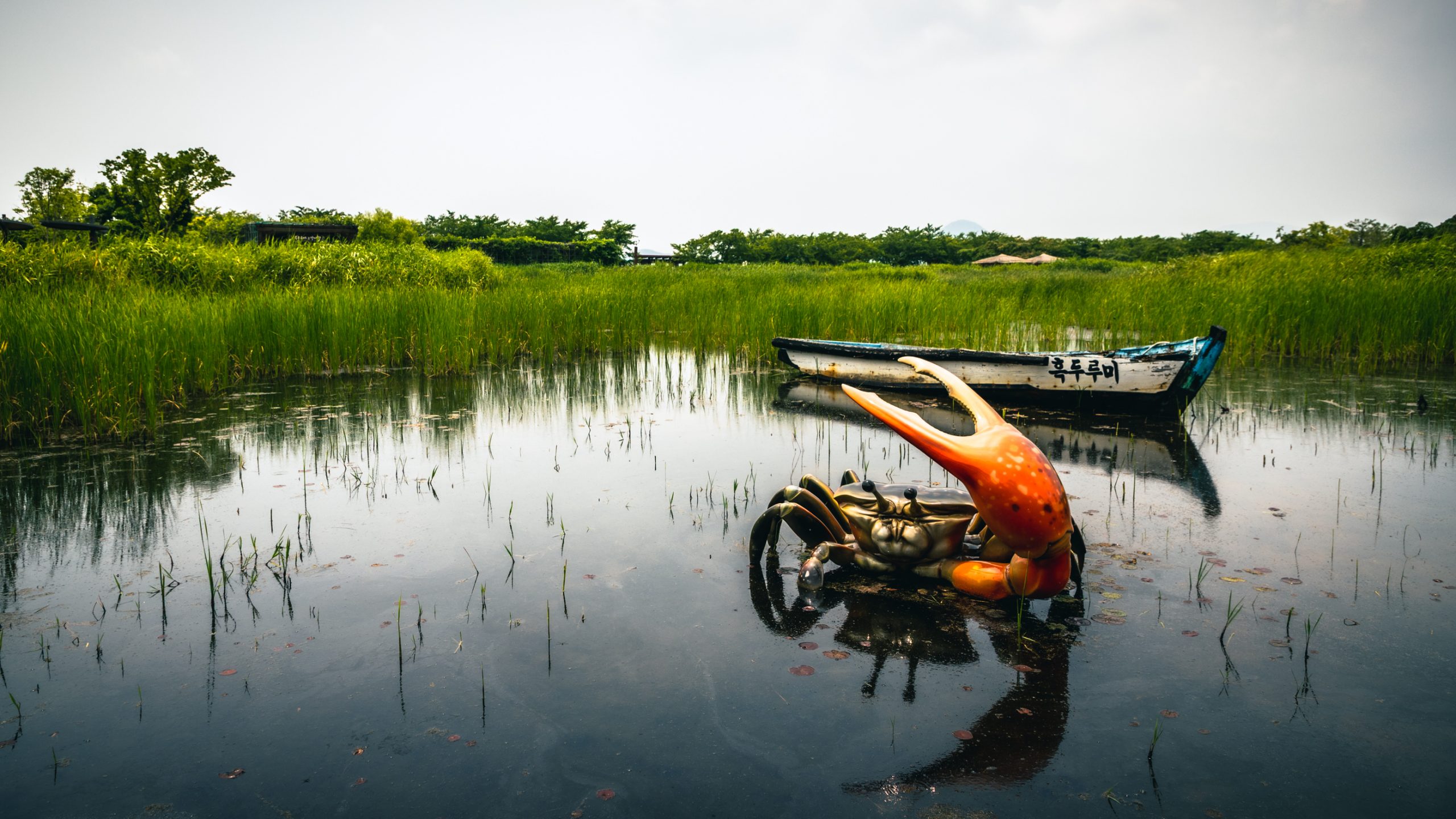 Crabe Violoniste et Barque