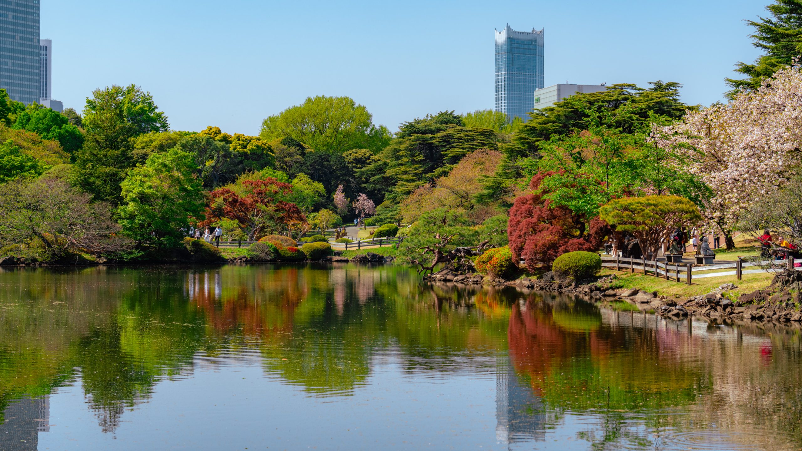 Étang de Shinjuku Gyoen