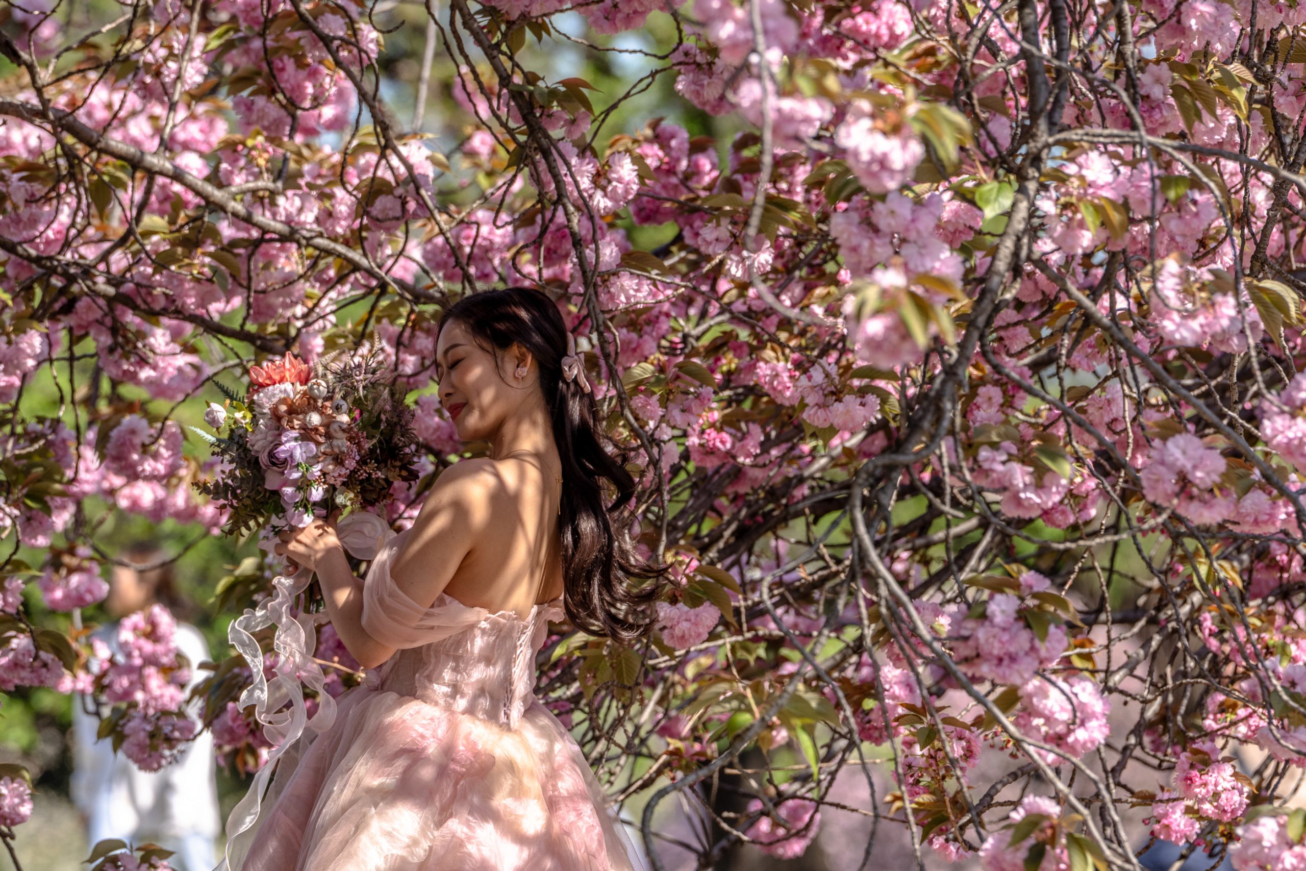Femme en robe rose sous cerisiers