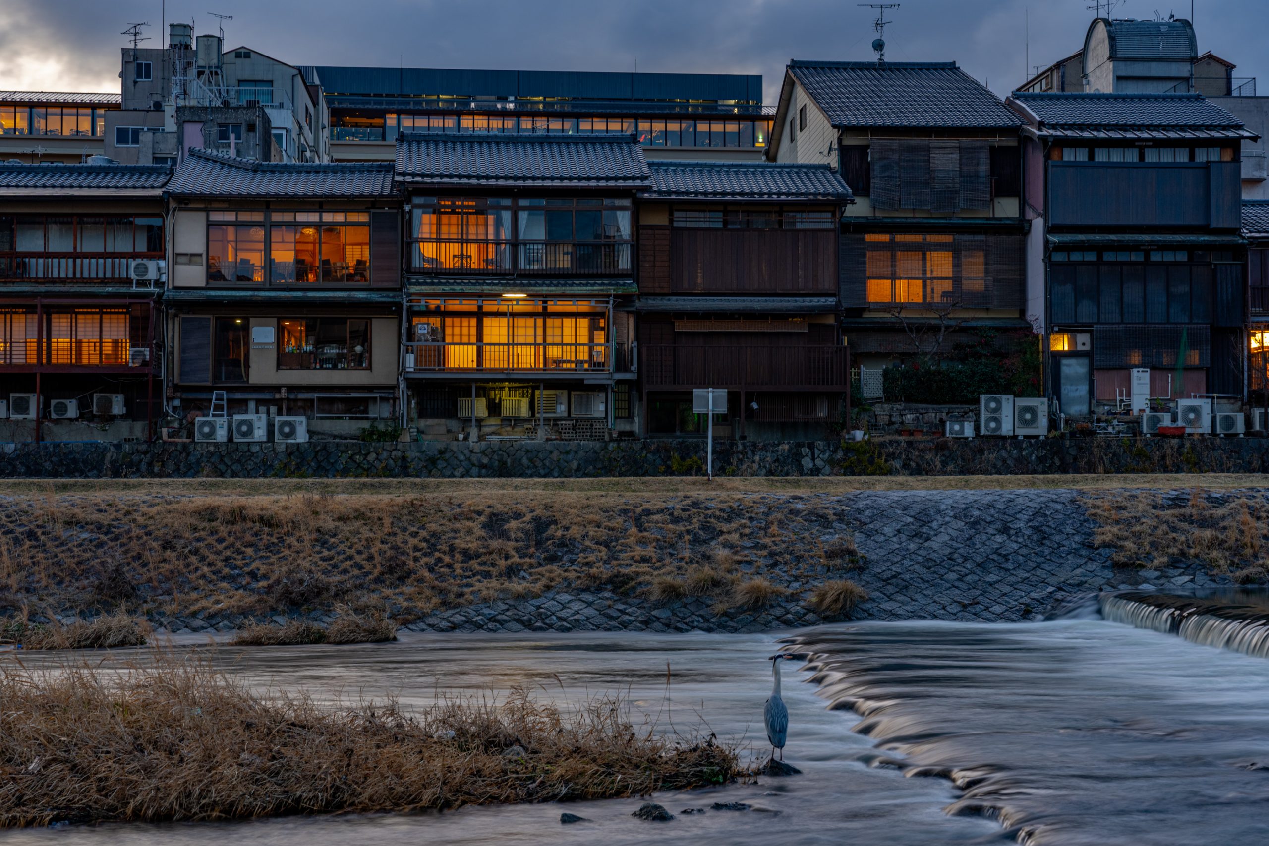 Héron cendré devant les machiya