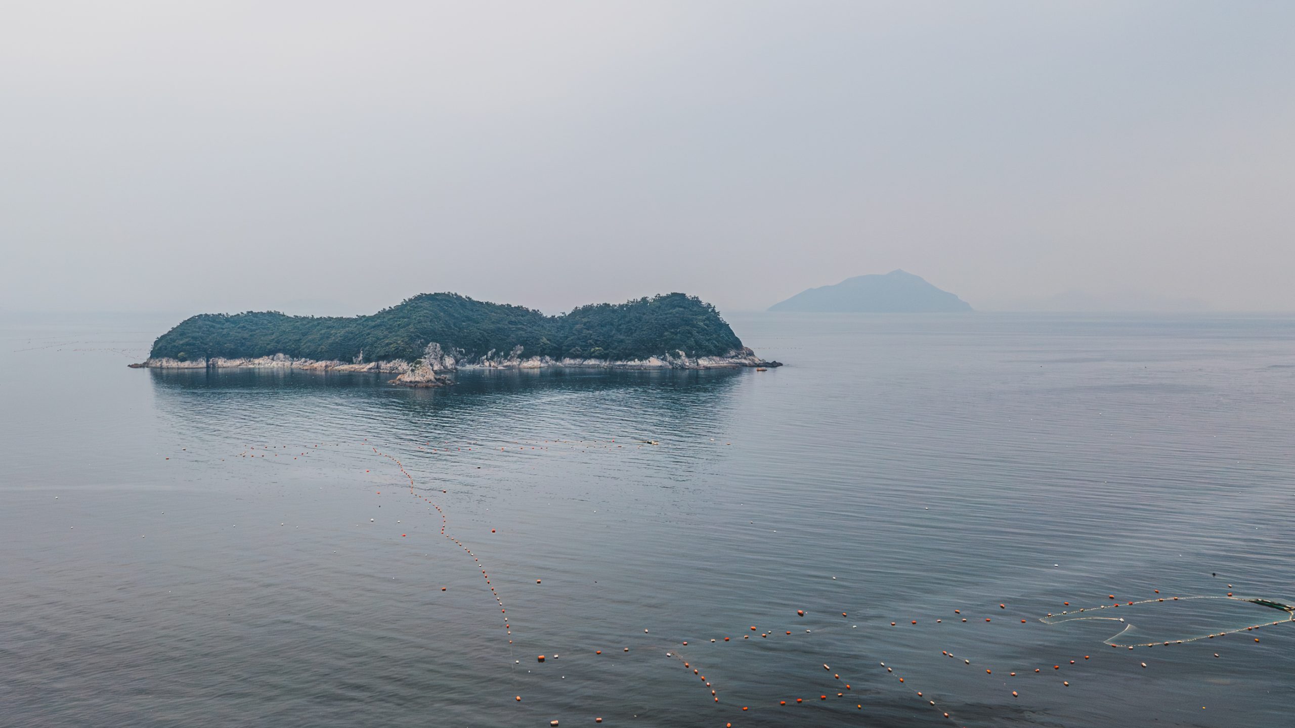 Île Rocheuse Boisée en Mer