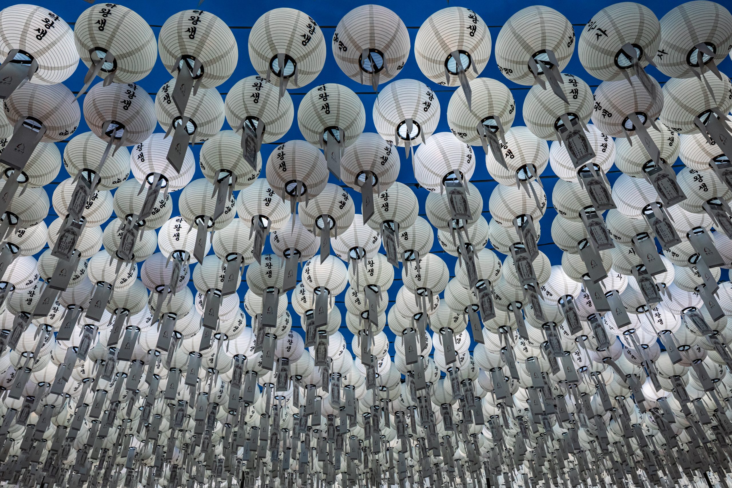 Lanternes du temple Jogyesa