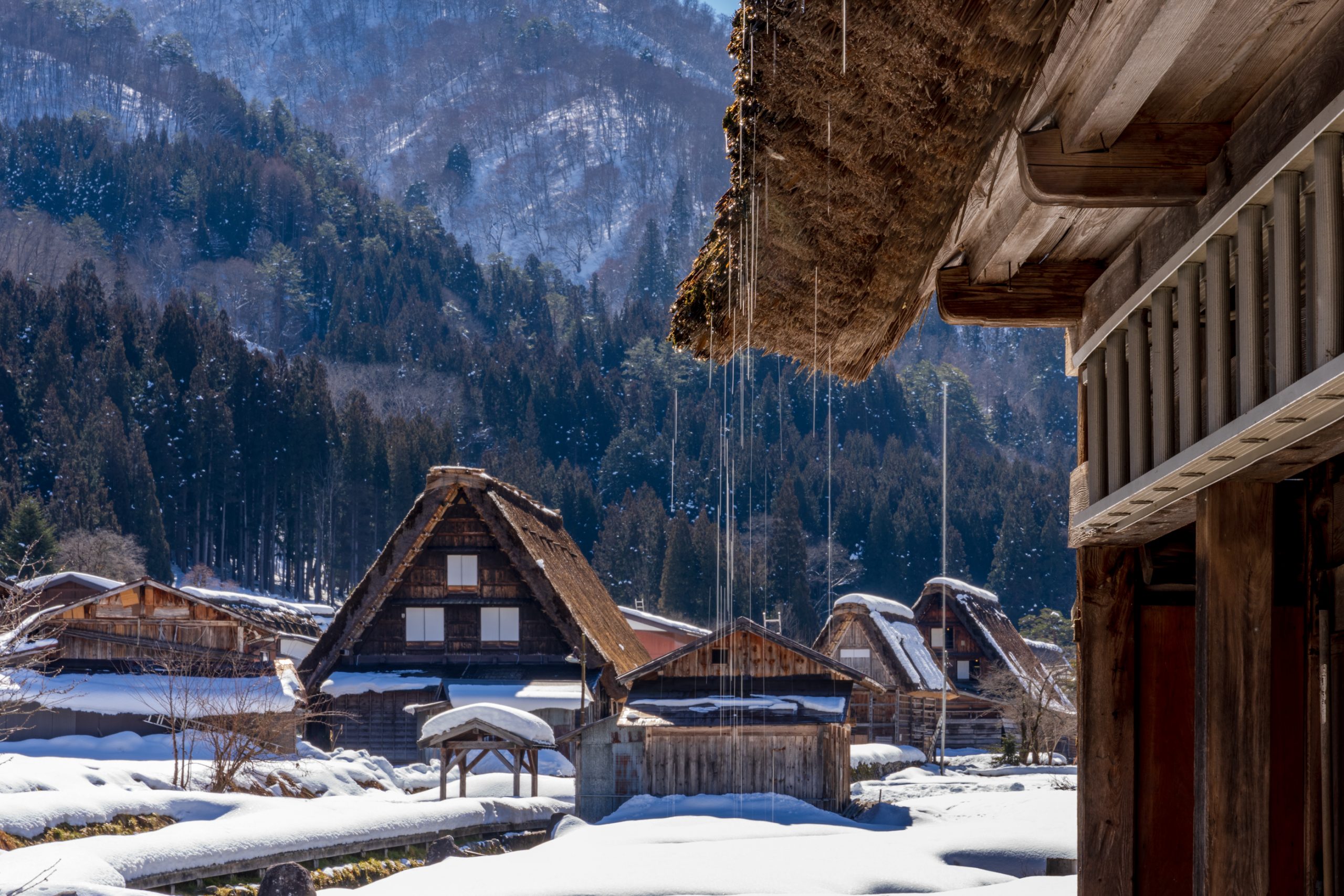 Maisons Gassho-Zukuri de Shirakawa-gō