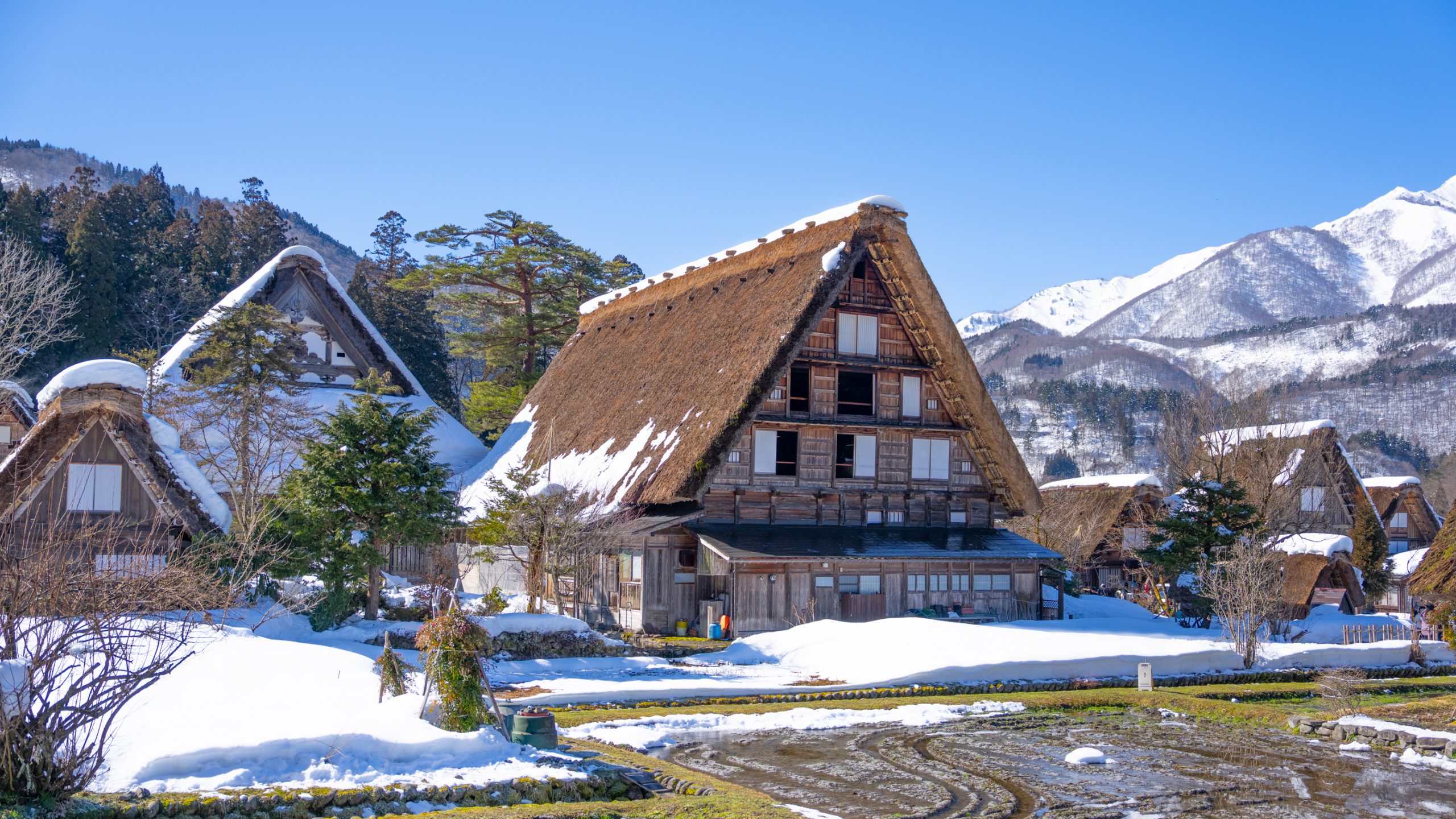 Maisons Gasshō de Shirakawa-go