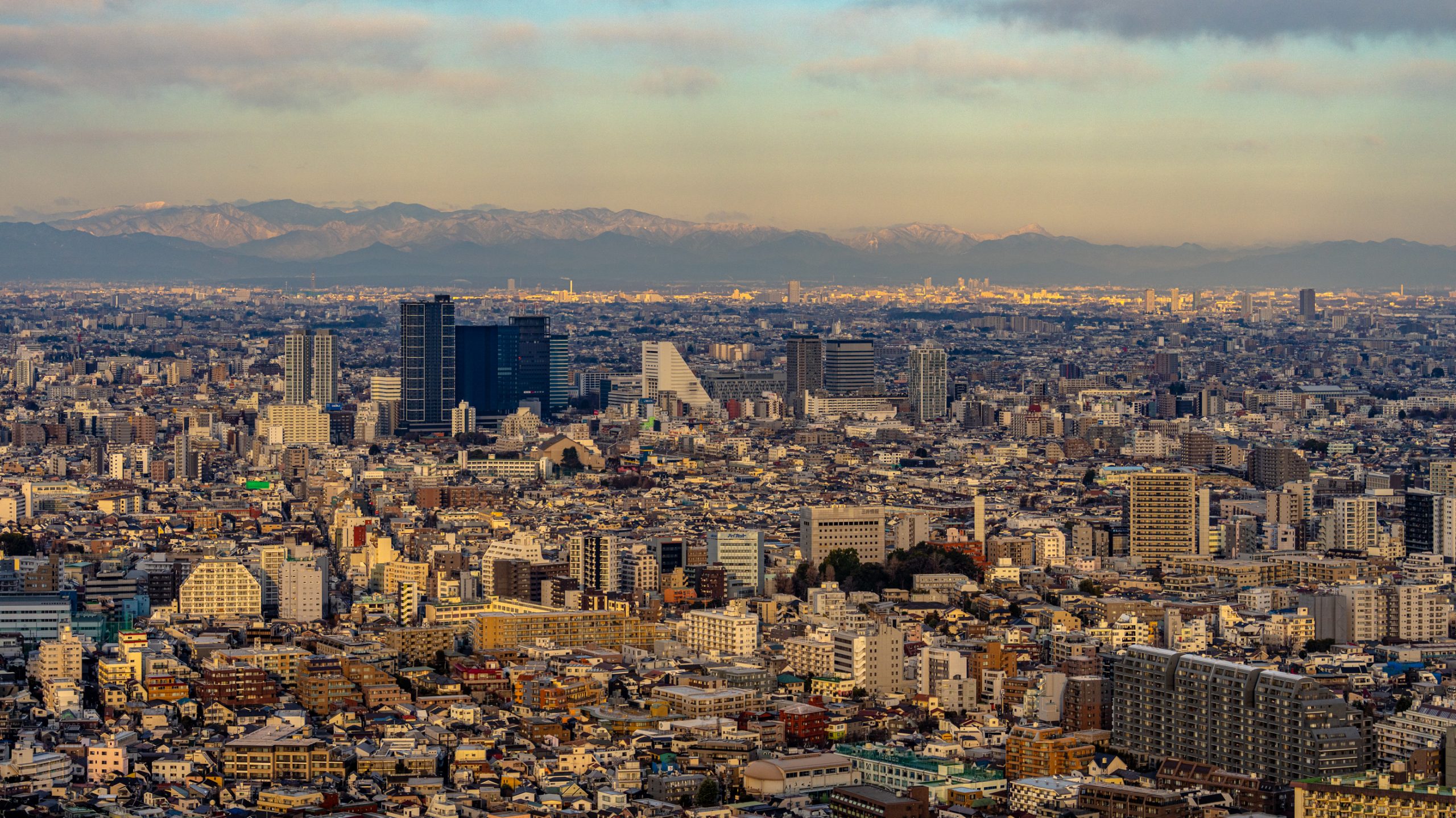 Panorama urbain de Tokyo