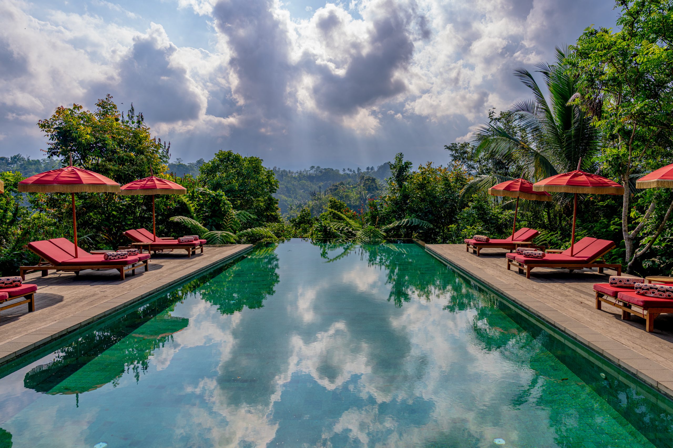 Piscine à débordement forêt tropicale