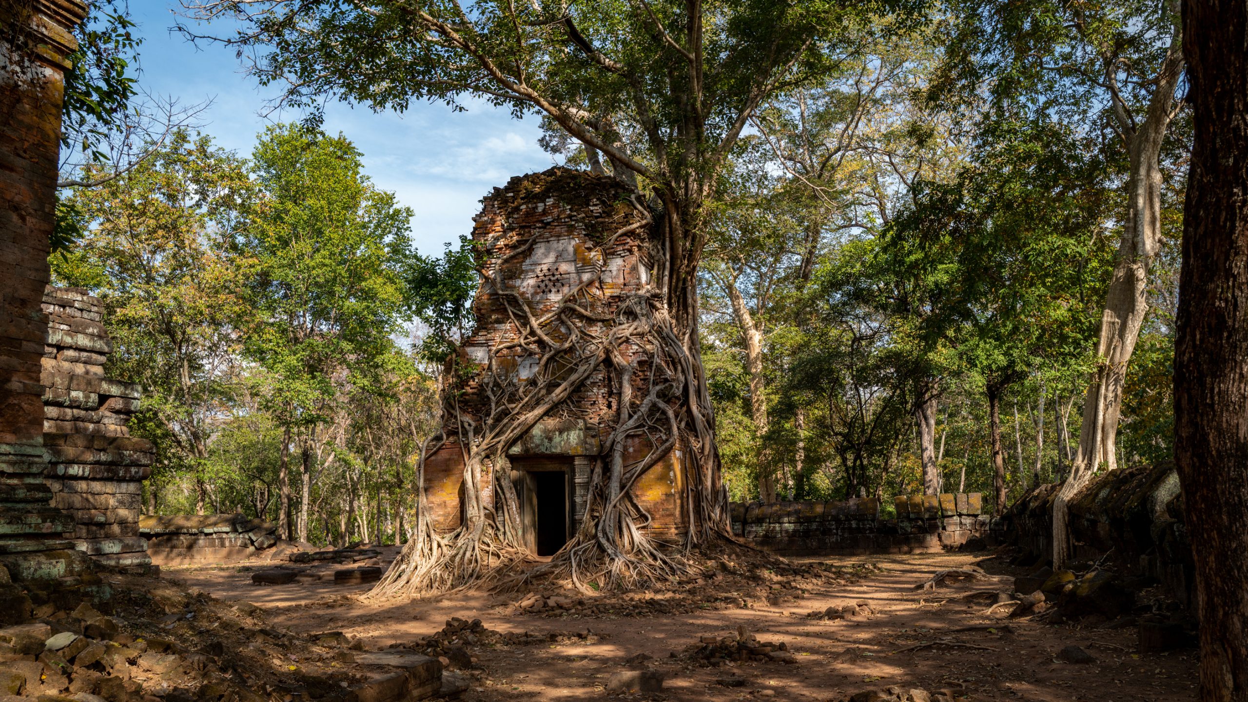 Ruine de Ta Prohm envahie