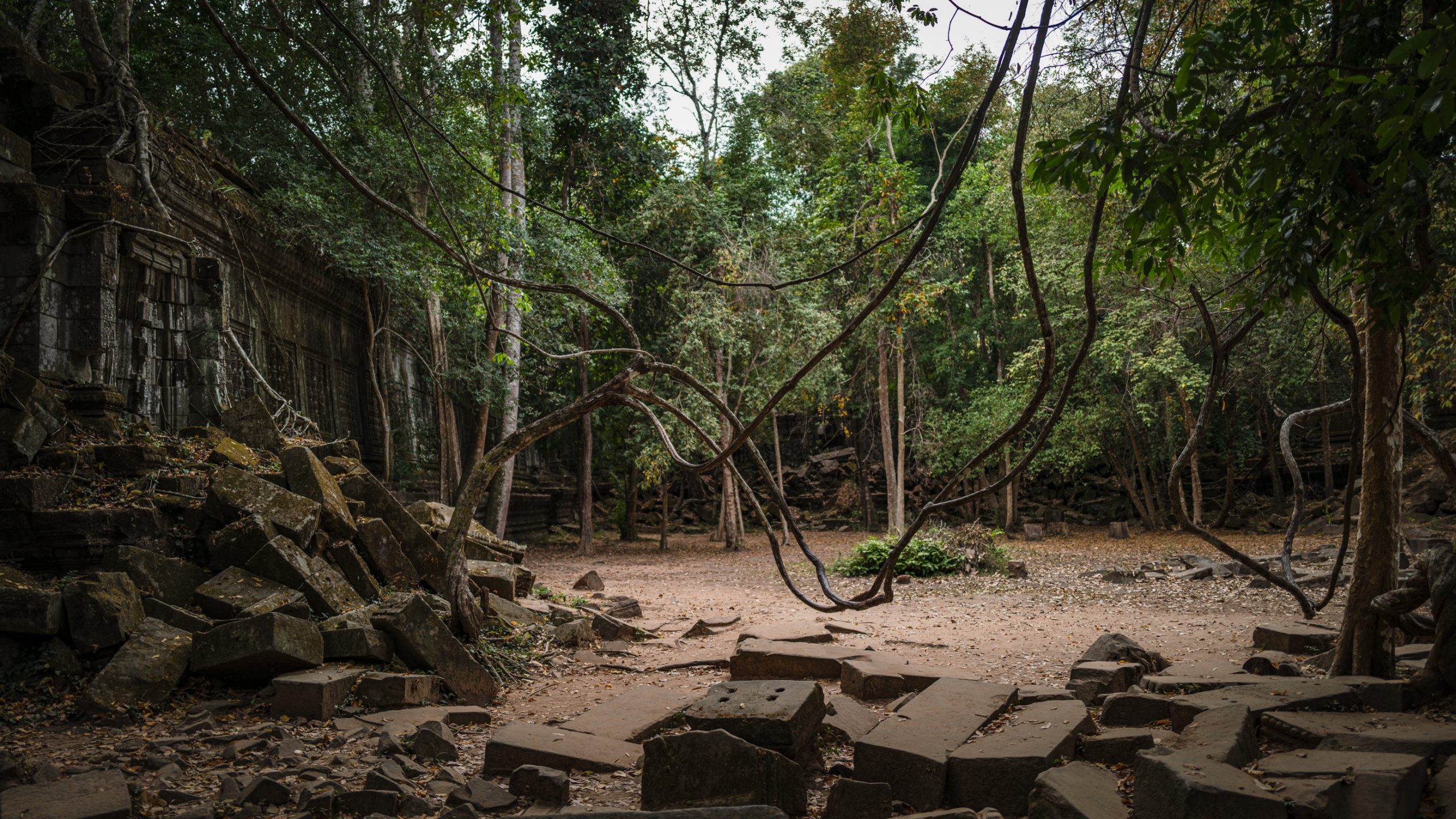 Ruines du temple Ta Prohm