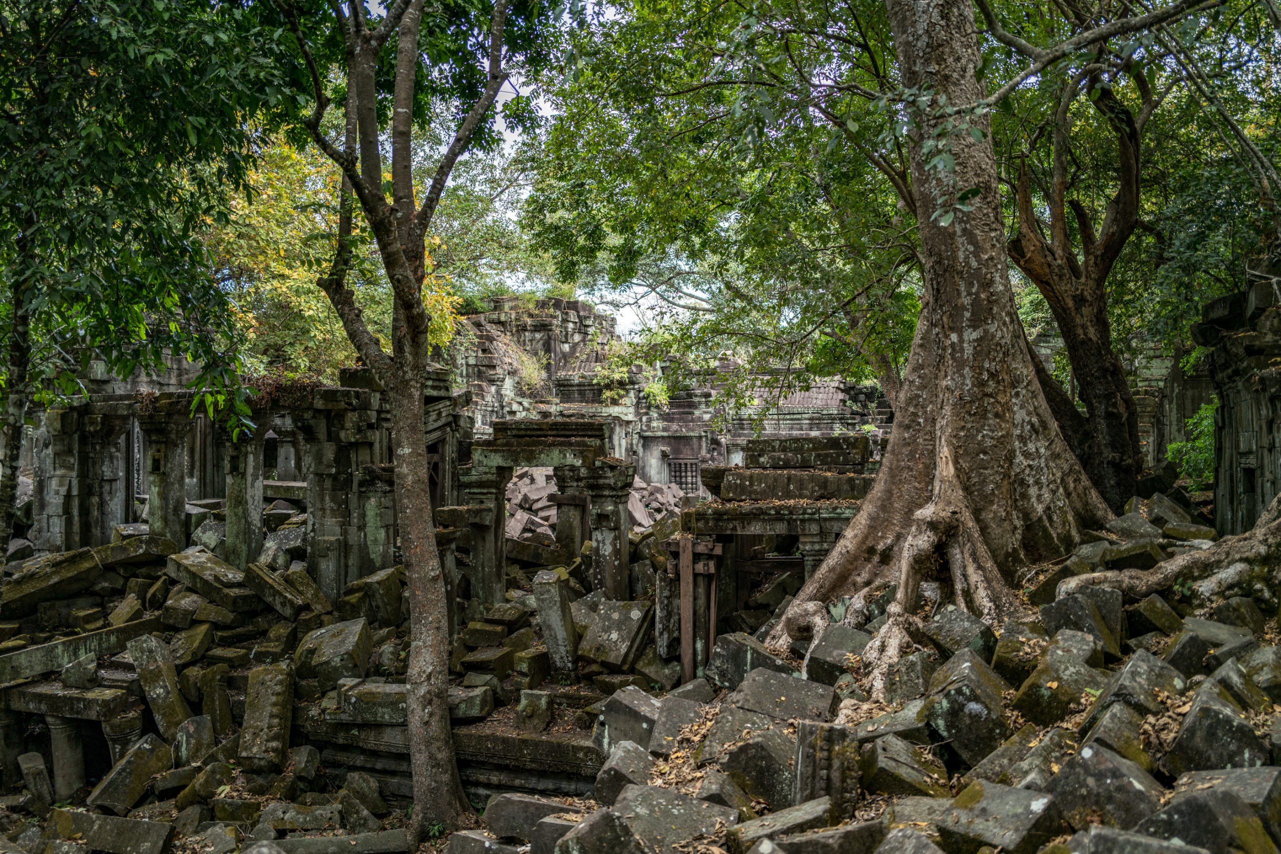 Ruines envahies de Ta Prohm