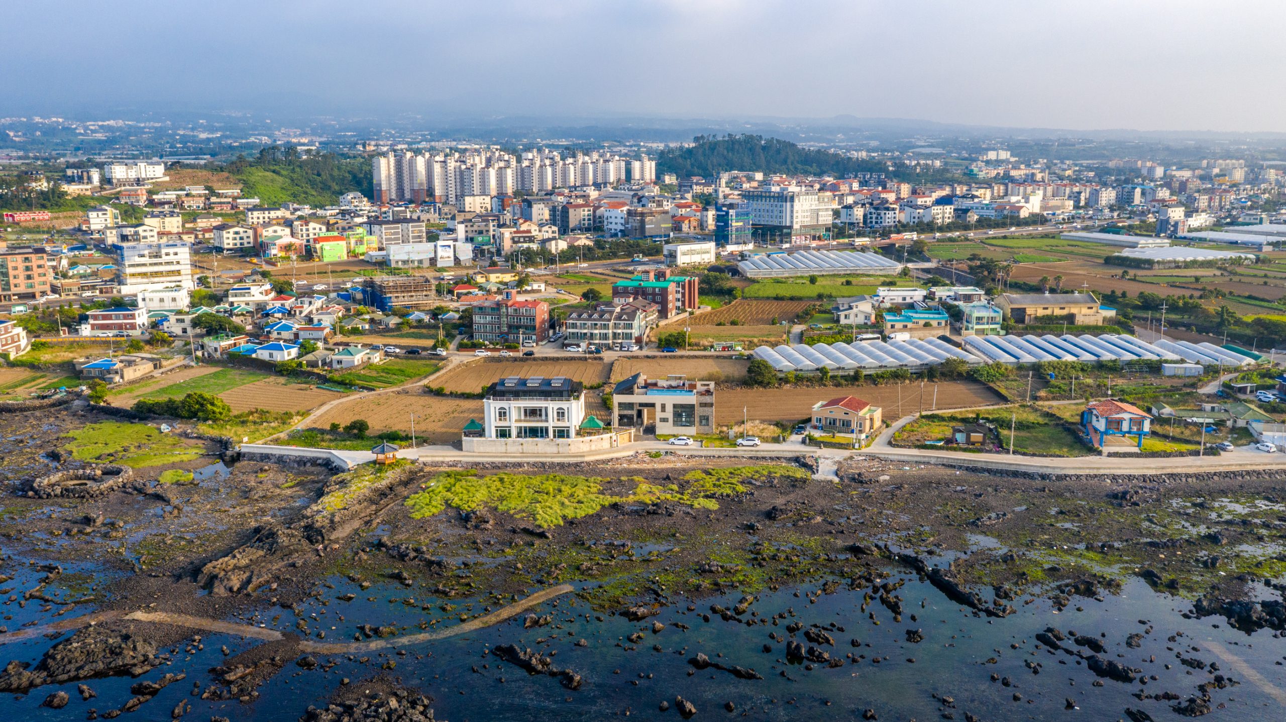 Serres Agricoles en Bord de Mer