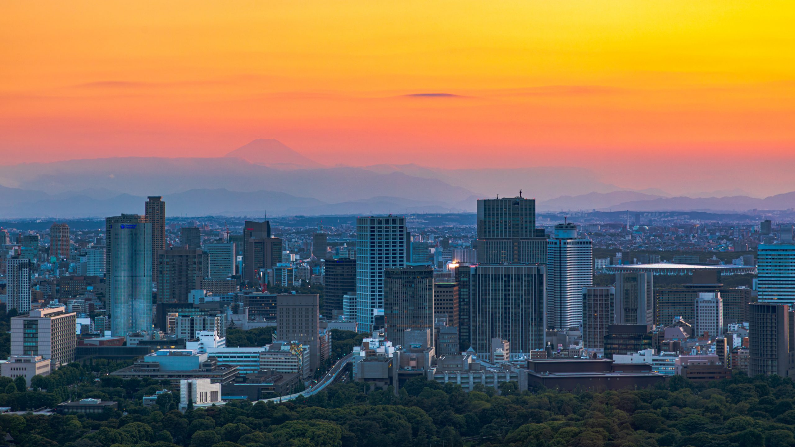 Skyline de Tokyo et Mont Fuji