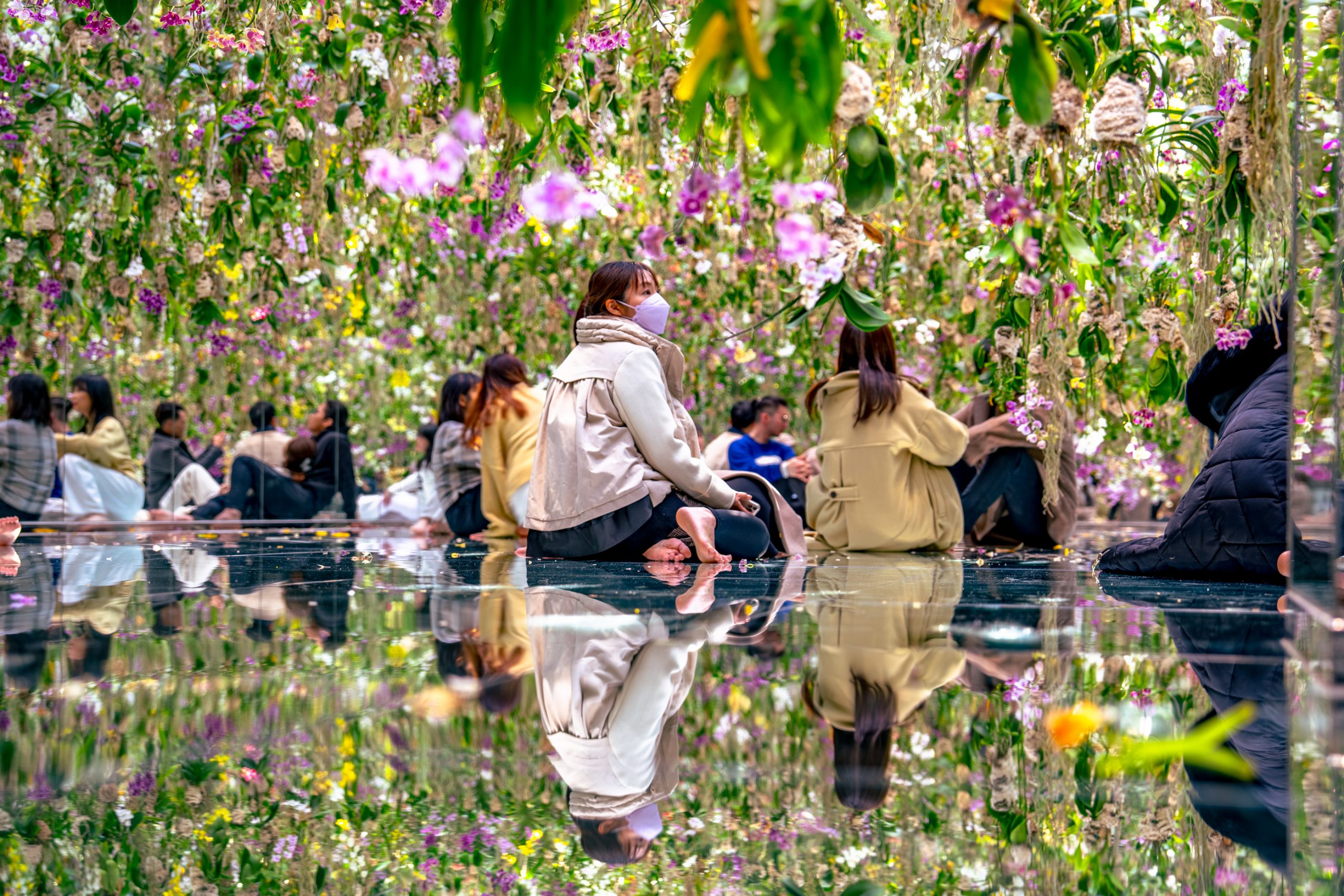 Sol Miroir et Orchidées Suspendues