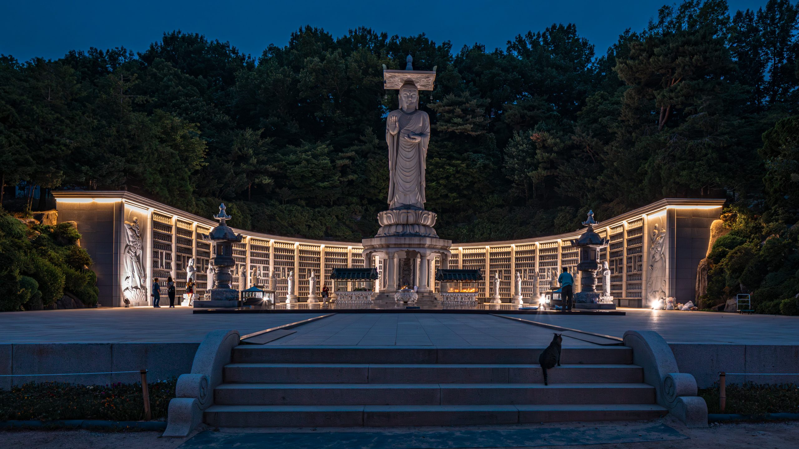 Statue de Bouddha debout et chat