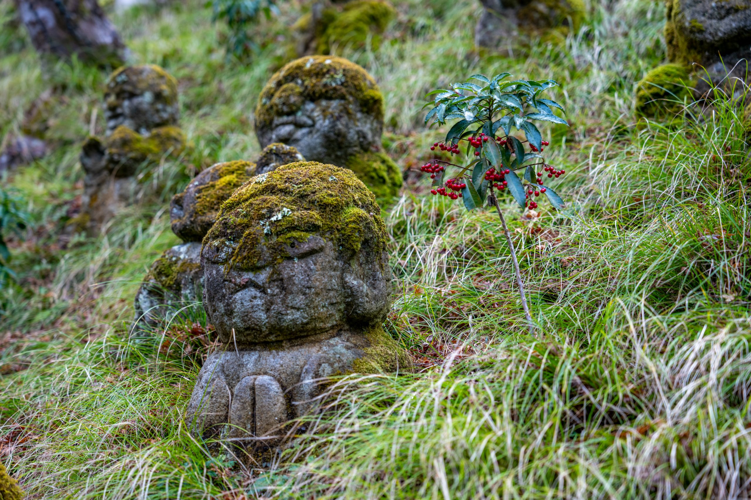Statues Jizo moussus et Nandinas