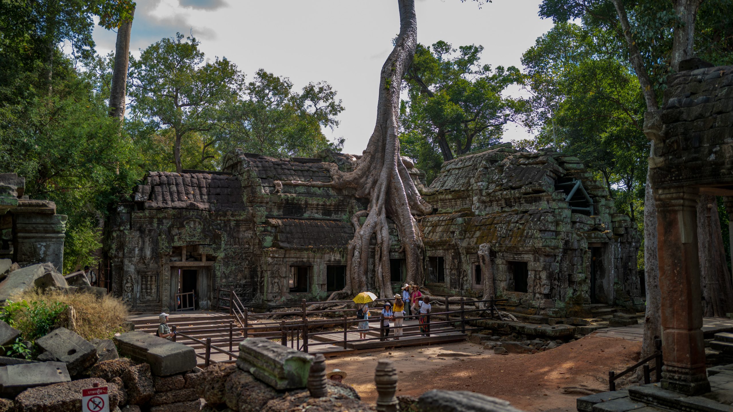 Temple de Ta Prohm Angkor