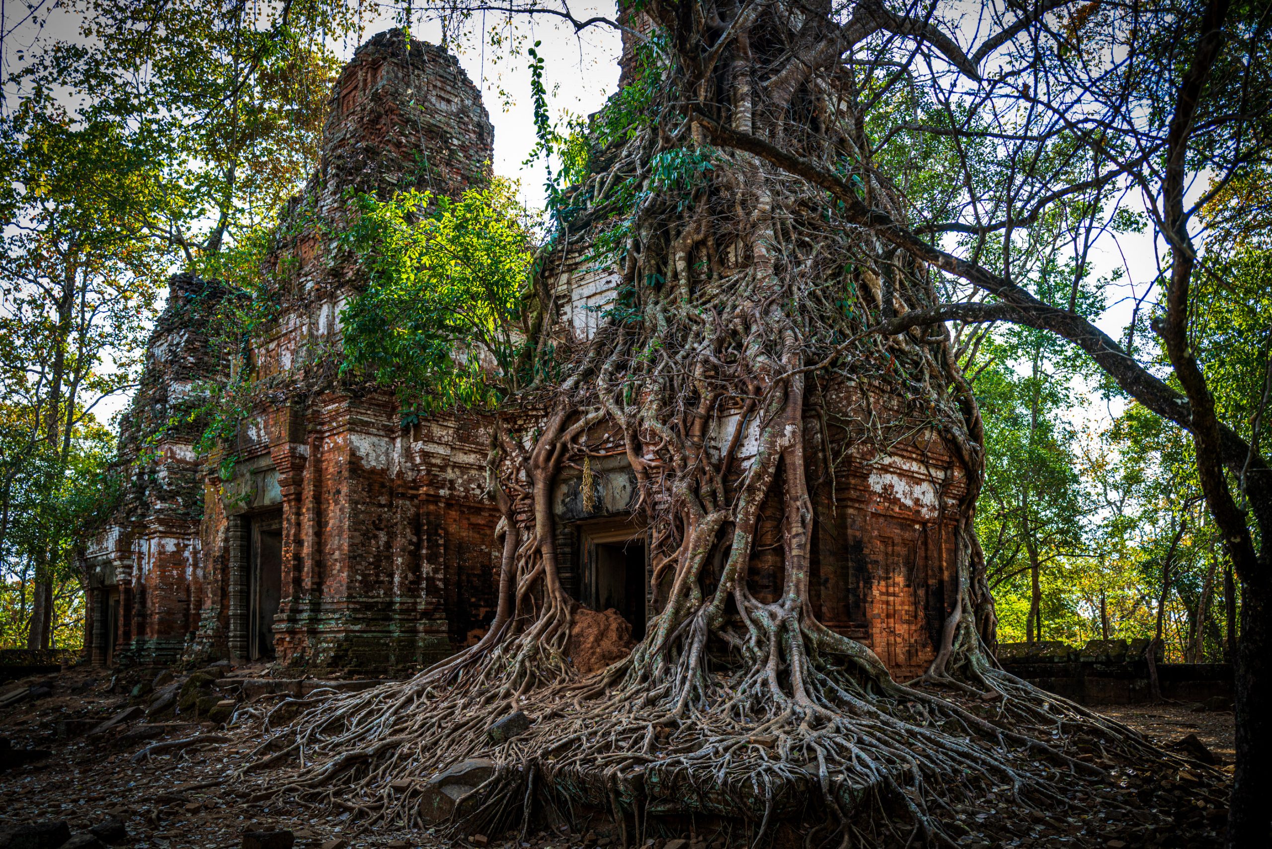Temple de Ta Prohm englouti