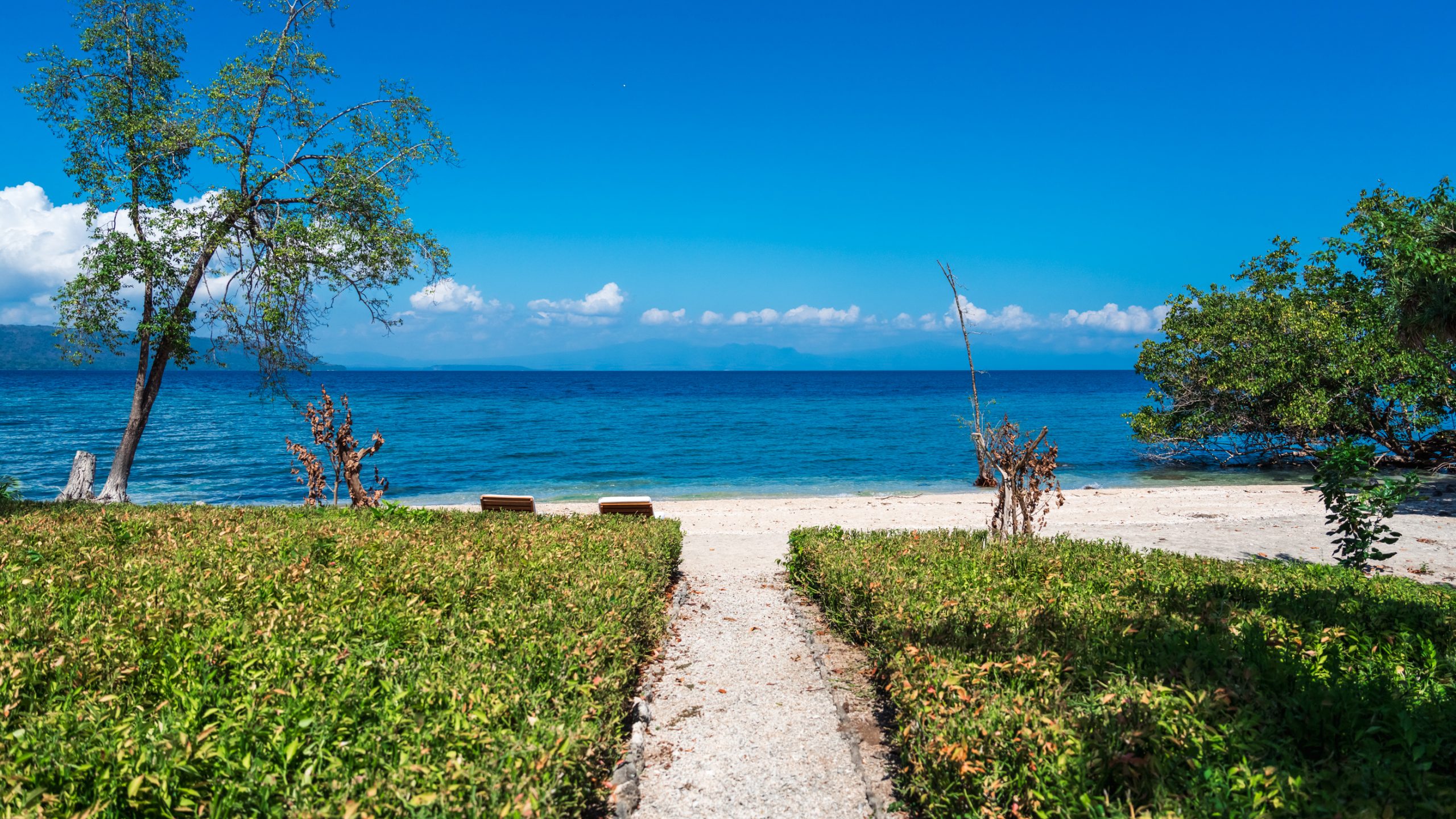 Transats Face Mer Turquoise