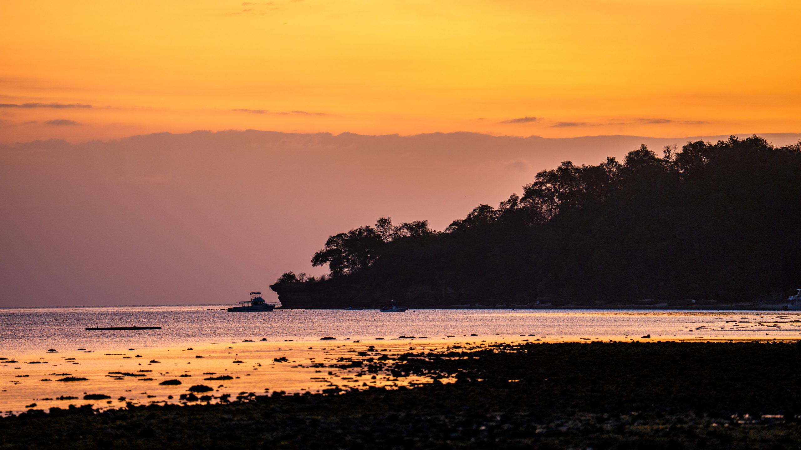 Vedette face à l’îlot boisé