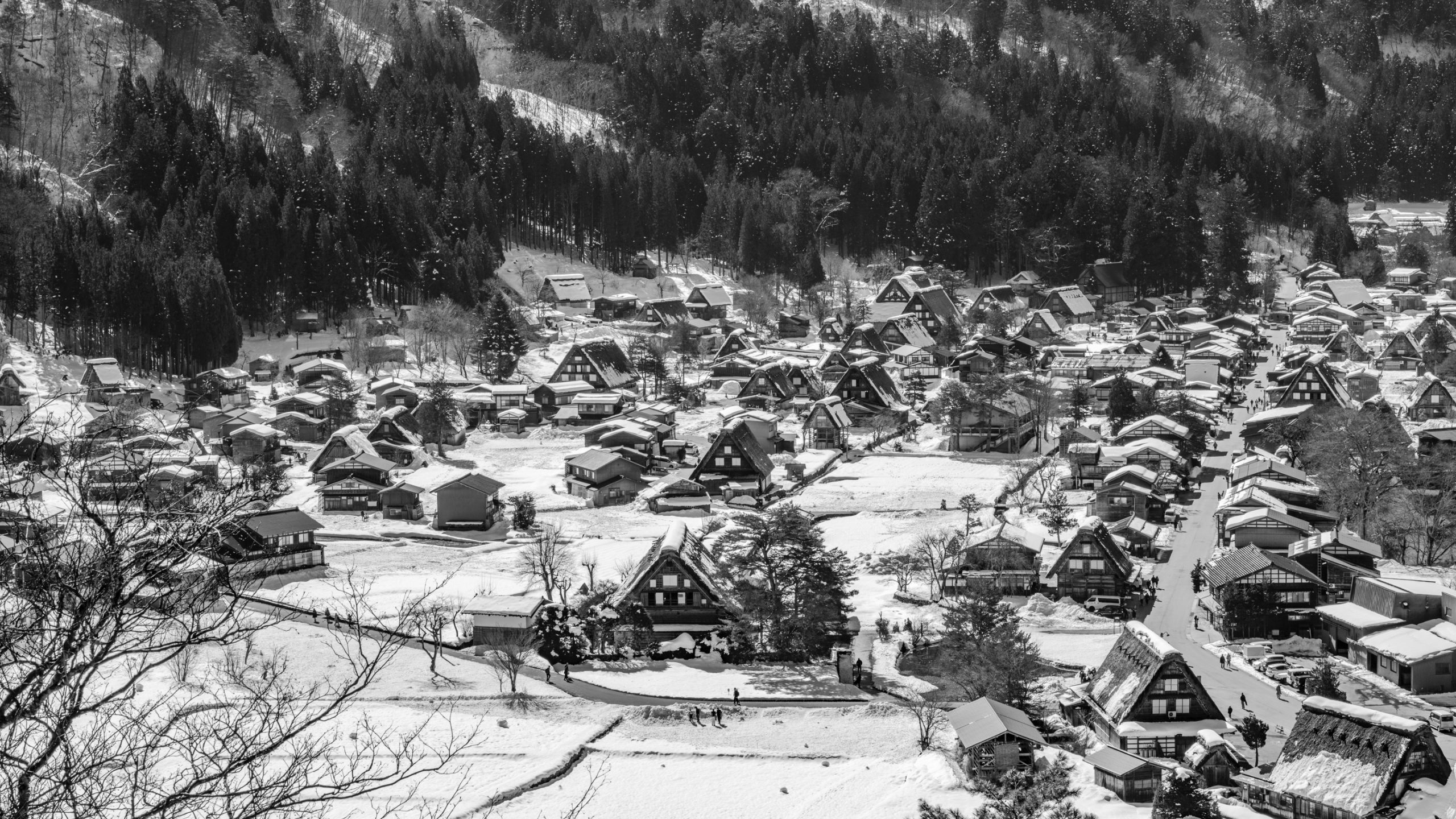 Village de Shirakawa-go enneigé