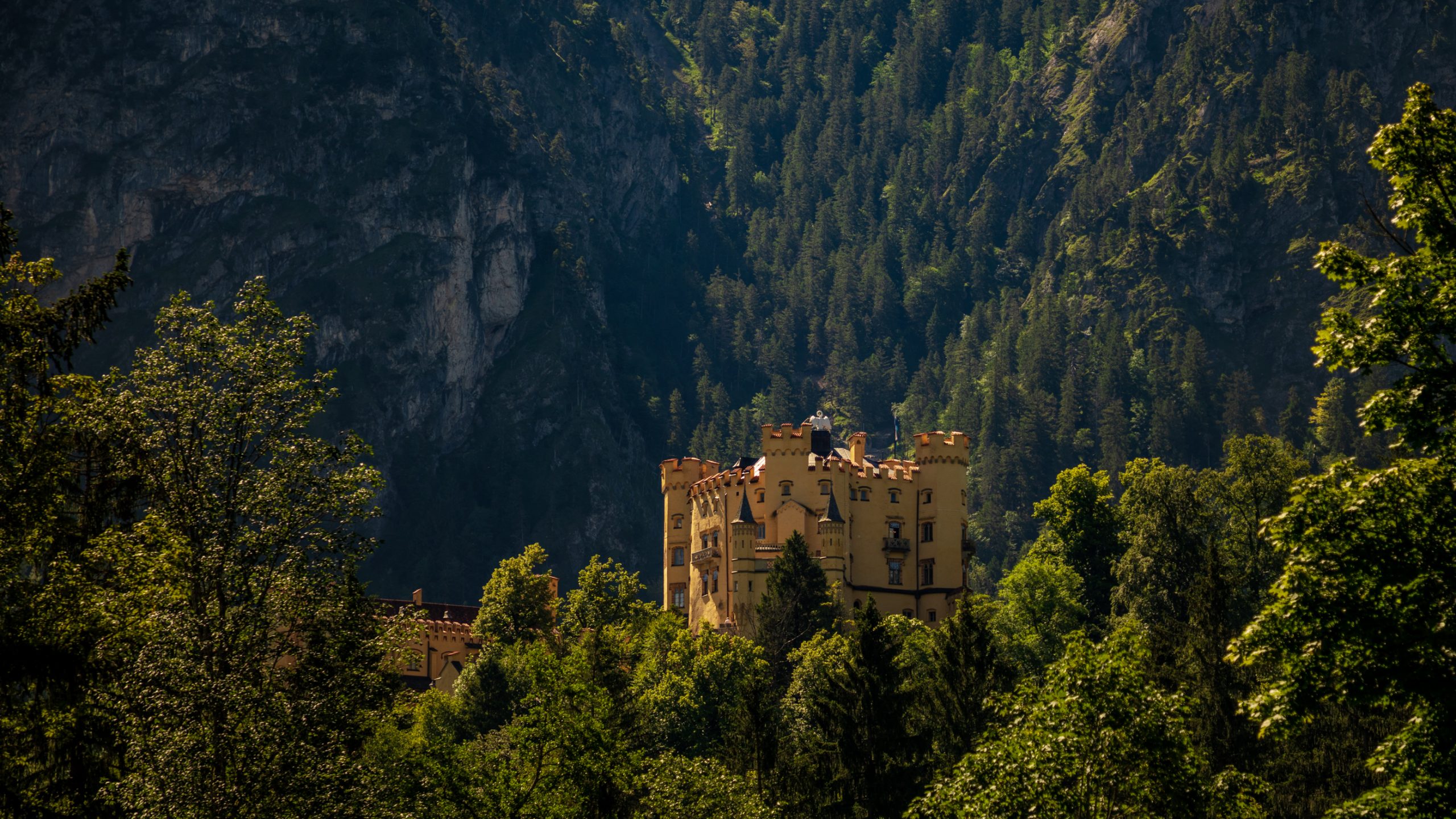 Château de Hohenschwangau dans les Alpes