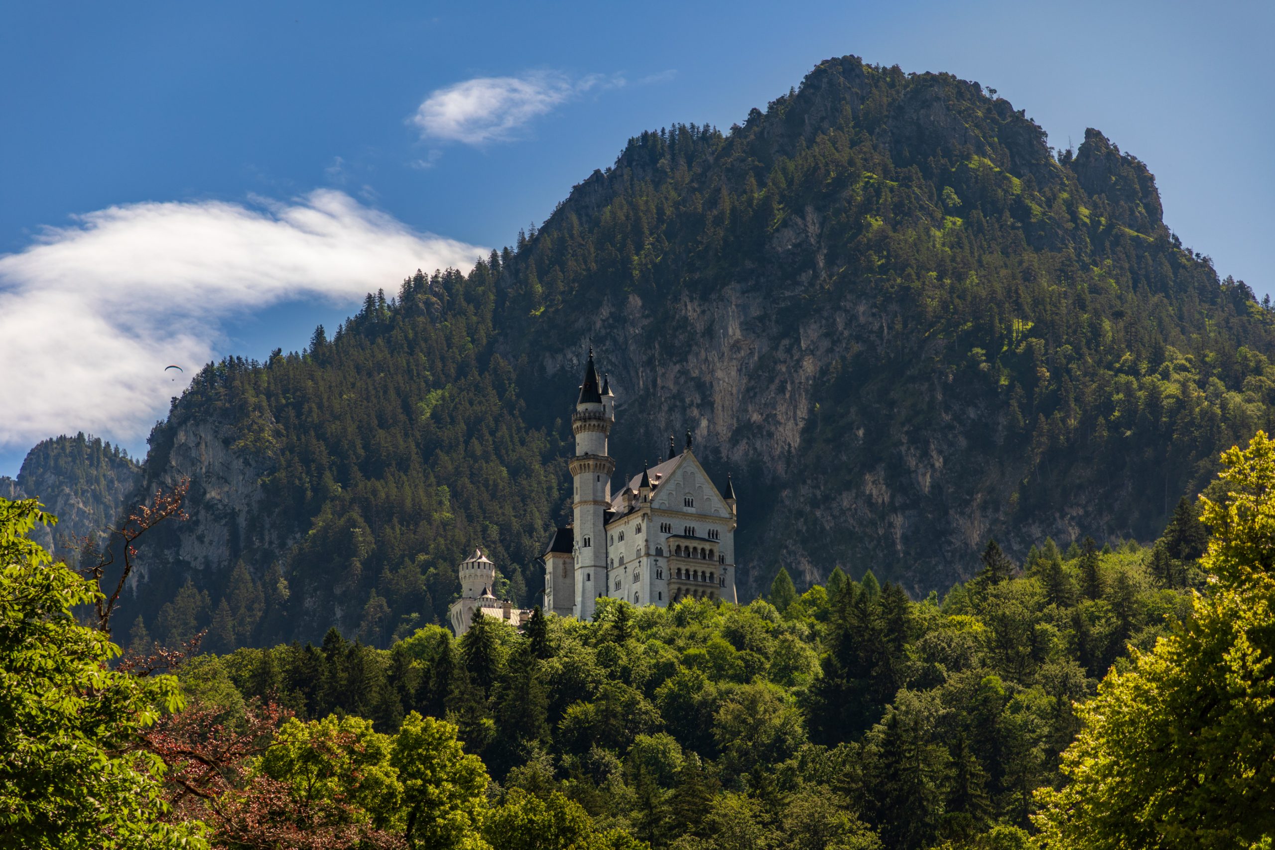 Château de Neuschwanstein dans la Forêt