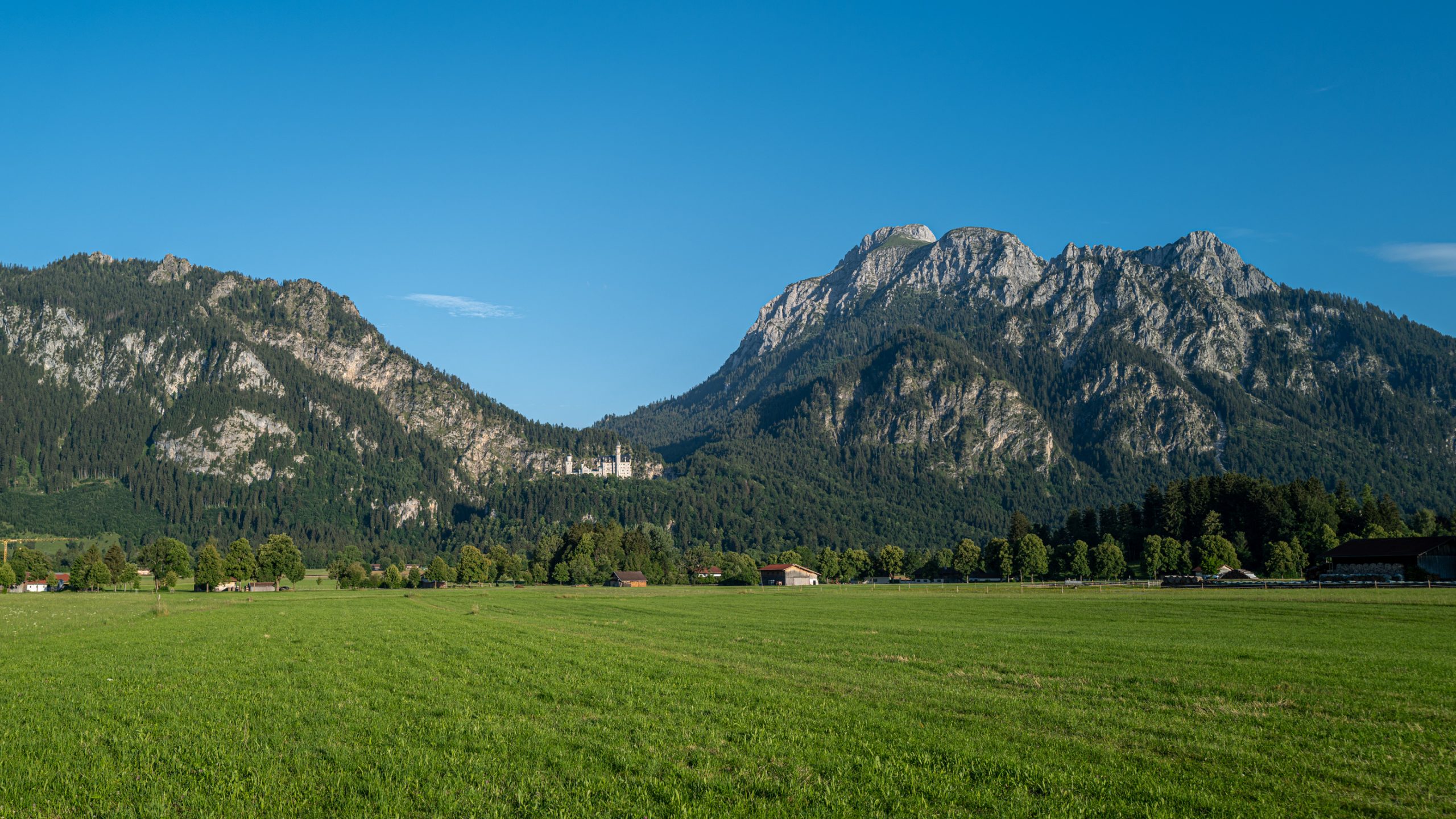 Château de Neuschwanstein et prairie